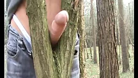 L'albero lo aiuta a venire.flv