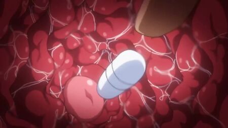 Hentai interno come