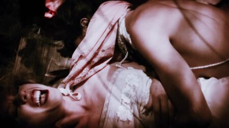 Caroline Dhavernas, Clara Furey nude - La stanza proibita (2015) HD 1080p Guarda online