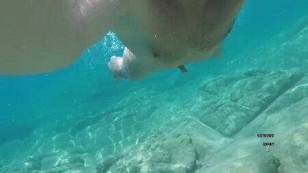 Nuotare nudi in mare. Molto erotico