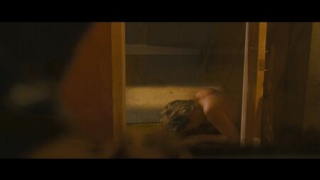 Sophia Myles nuda - Hallam Foe (2007) HD 720p