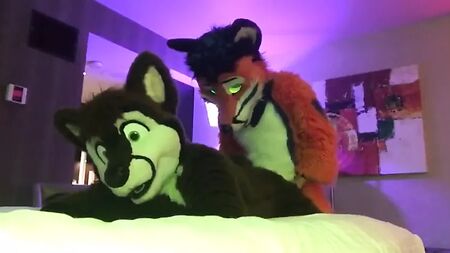Due furries gay che scopano 2