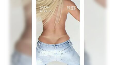 Jelena Karleusa, fine
