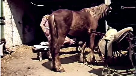 La mosca spagnola (1985)