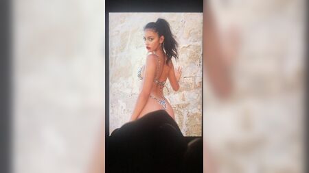 Omaggio a Cindy Kimberly Cum