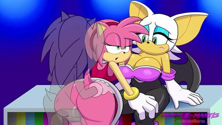 Rouge The Bat viene tradita da Amy Rose