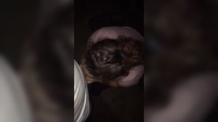 Dirtygirl614 fa un pompino e si fa scopare senza preservativo da uno sconosciuto