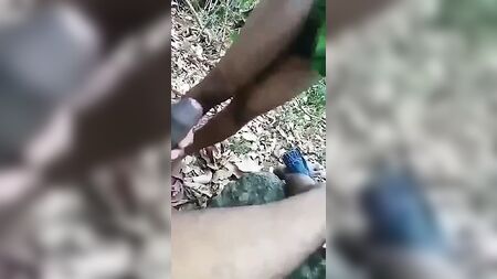 Sesso gay tamil all'aperto