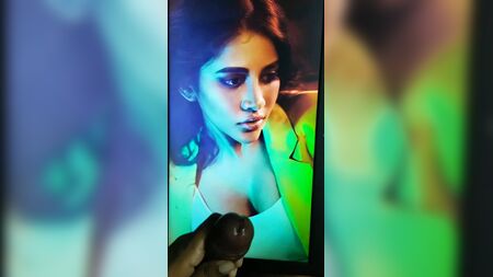 Omaggio a Nabha Natesh Cum