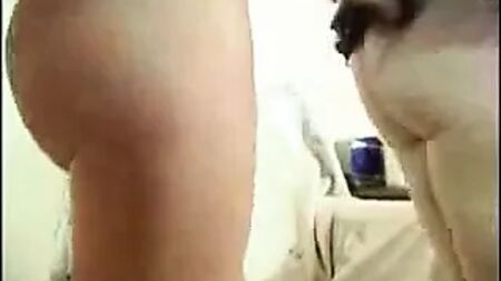 regalo sexy della nipote alla zia