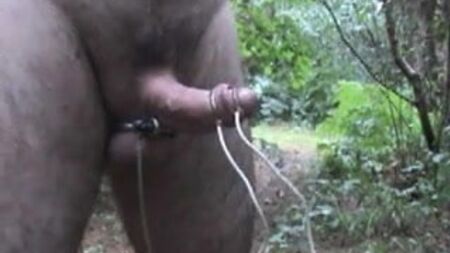 E-Stim succulenta e gocciolante nel bosco