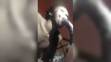 TRANNY SI GODE UN Cazzo nero gigante