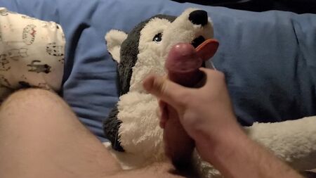 eiaculare su un peluche di Husky