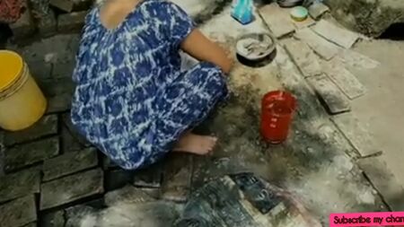 Video porno di una coppia di agricoltori tamil desi