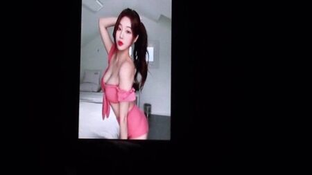 IG Streamer HanKyung: tributo 1