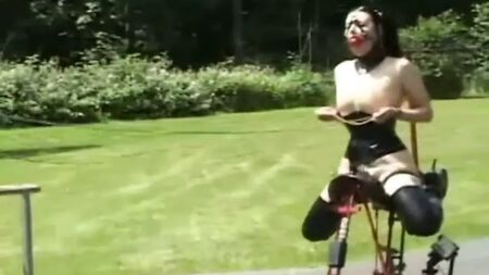 coppia di pony