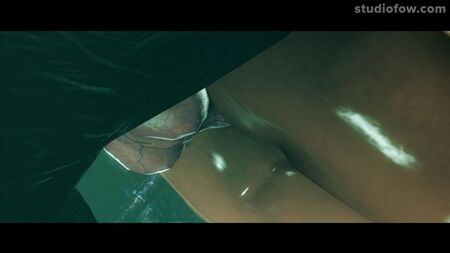 Raccolta di cortometraggi dello Studio Fow