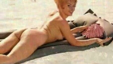 Playmate degli anni '60
