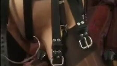 Bondage con imbracature