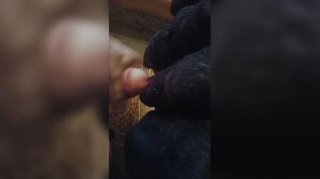 Sborra su un cappotto di pelliccia sintetica nera