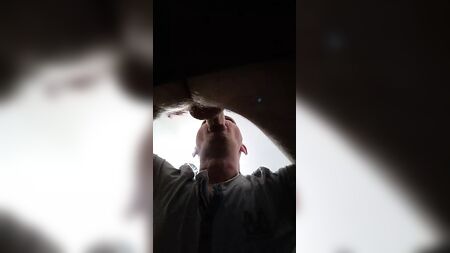Succhiare il cazzo di un cavallo