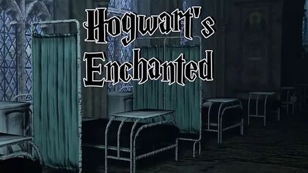 Harry Potter - Gioco porno in 3D