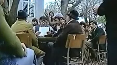 Zerrin Egeliler - Foglia appassita