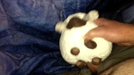 Fare sesso con il peluche di Wooloo dei Pokémon