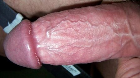Foto del mio pene