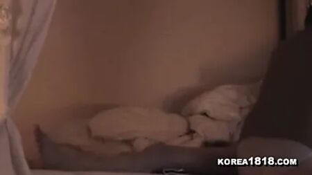 PORNO DI VENDETTA DELLA MIA EX COREANA SEXY