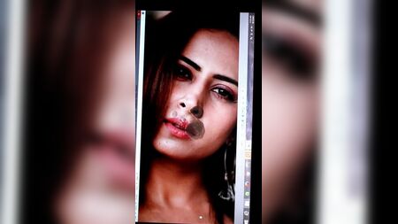 Sargun Mehta: un omaggio
