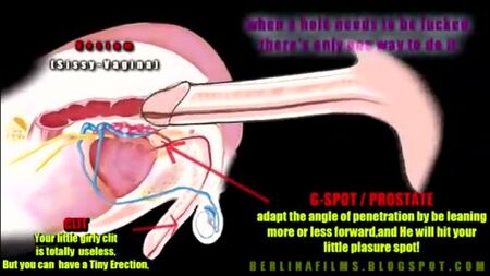 Come raggiungere l'orgasmo anale! Da non perdere [sissy, shemale, trappola, orgasmo, sborra, sesso, troia]