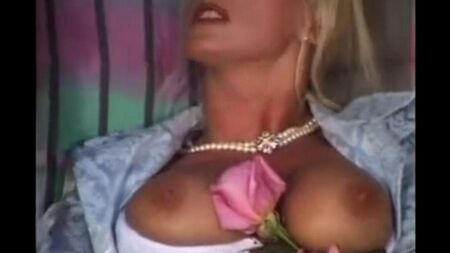 I membri riempiono l'ano e la vagina di una donna