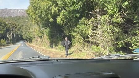 Cosa farà se gli do un passaggio?