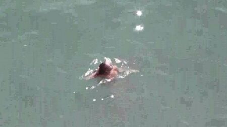 Coppia nuda in mare