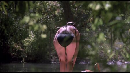 Jennifer Connelly, Virginia Madsen e altre attrici nude - The Hot Spot (1990) HD 1080p Blu-ray