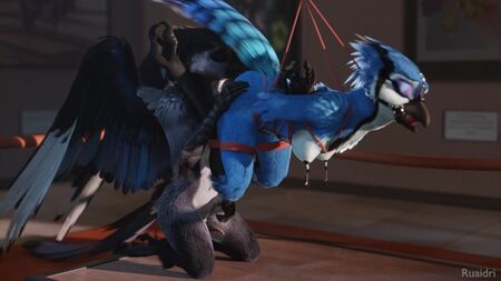 3D Yiff di ruaidri - Porno furry - Sesso - E621 - Donna - Uccello - Bondage - BDSM