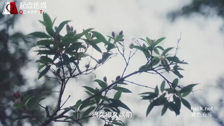 Qidian Media XSJ 007 La Bella Addormentata. Il Principe, la Cattiva e l'Amore della Principessa