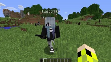 [Naisik Bro] SE VEDI UN MALEDETTO TIMIDO VICINO A CASA TUA, CORRI SUBITO SU MINECRAFT! SCP 096 SHY GUY MINECRAFT
