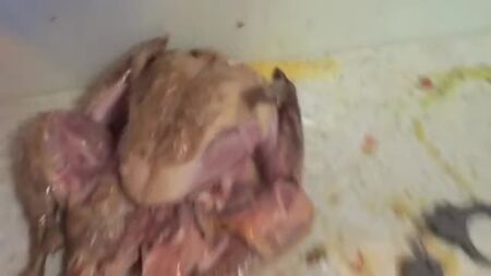 [HowToBasic] Come farcire un tacchino