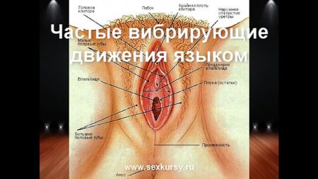 Come praticare correttamente il cunnilingus, l'orgasmo, il sesso anale e la masturbazione
