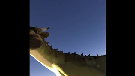 Dragon: tour completo in POV
