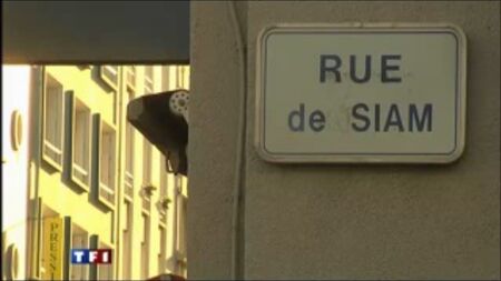 Servizio (TF1 - Telegiornale delle 13:00, 19 gennaio 2011)