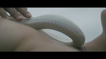 Paz de la Huerta, Dianna Agron, ecc. Nude - Bare (2015) Guarda online / Dianna Agron, Paz de la Huerta - Nude