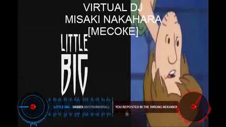 Hai ripubblicato nel SKIBIDI sbagliato (versione completa)