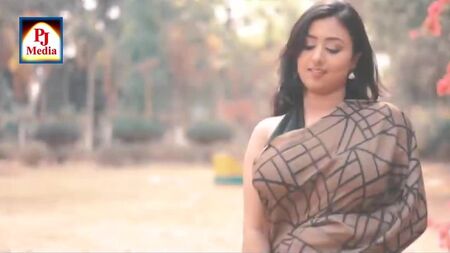 Saree Sundari NAARI - Saree a quadri