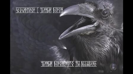 Skogarmaor - Black Raven (video con il testo)