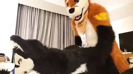 giocare in fursuit con un amico