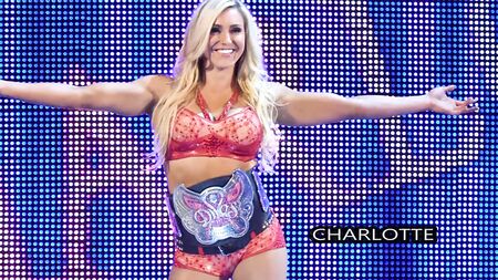 SekushiLover - Classifica questi selfie di Diva della WWE in costume da bagno