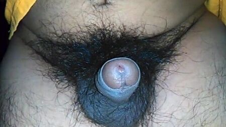 PENE PICCOLO, NON CIRCONCISO, SCURO E MOLTO PELOSO